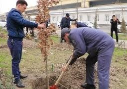 “Яшил макон” тадбири давом этади