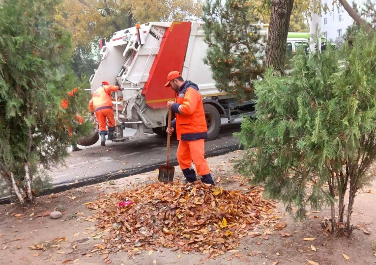 Так как осень — пора листопадов, опавшая листва покрывает всё мгновенно