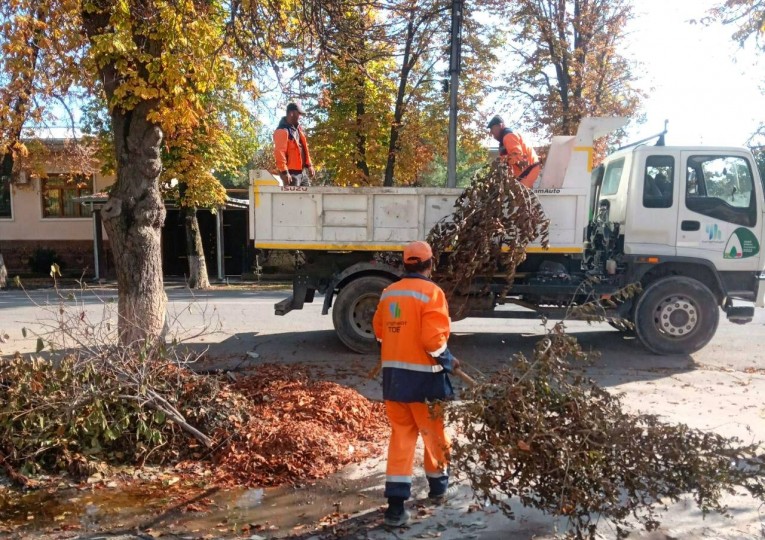 Так как осень — пора листопадов, опавшая листва покрывает всё мгновенно