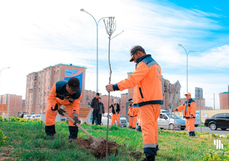 В частности, в махалле 