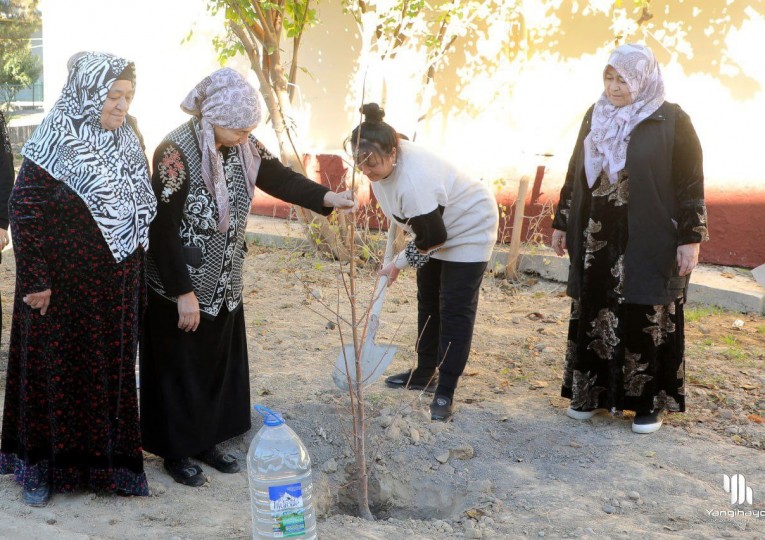 “Yashil makon” aksiyasi davom etmoqda