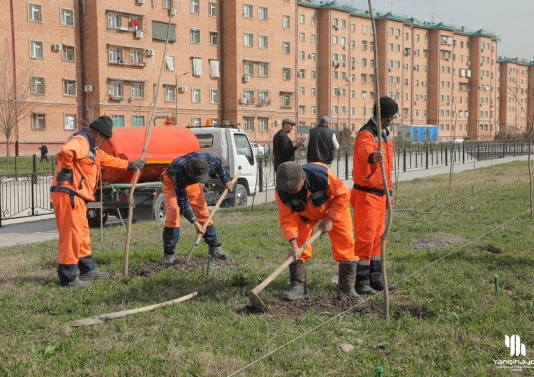 Эрта тонгдан туманимизда ободонлаштириш ишлари давом этмоқда