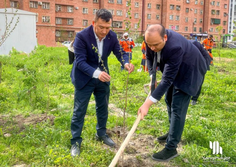 Янгиҳаёт туманида кўкаламзорлаштириш ишлари жадал давом етмоқда