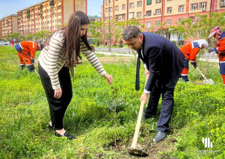 Янгиҳаёт туманида кўкаламзорлаштириш ишлари жадал давом етмоқда