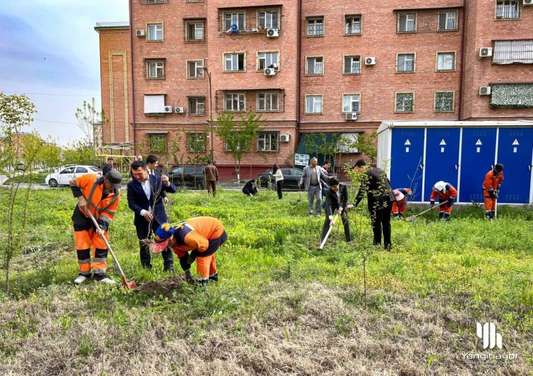 Янгиҳаёт туманида кўкаламзорлаштириш ишлари жадал давом етмоқда