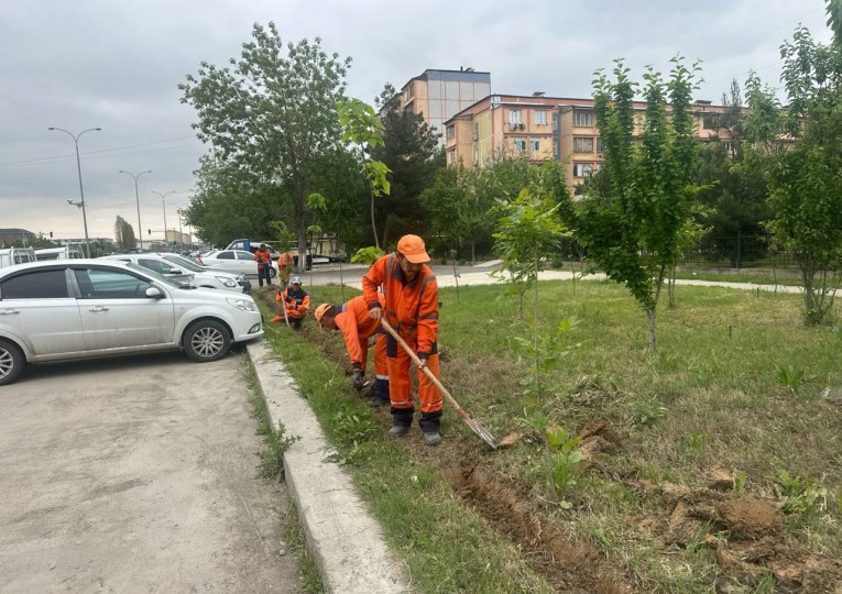 Янгиҳаётда ҳашар тадбирлари уюшқоқлик билан ташкил этилмоқда