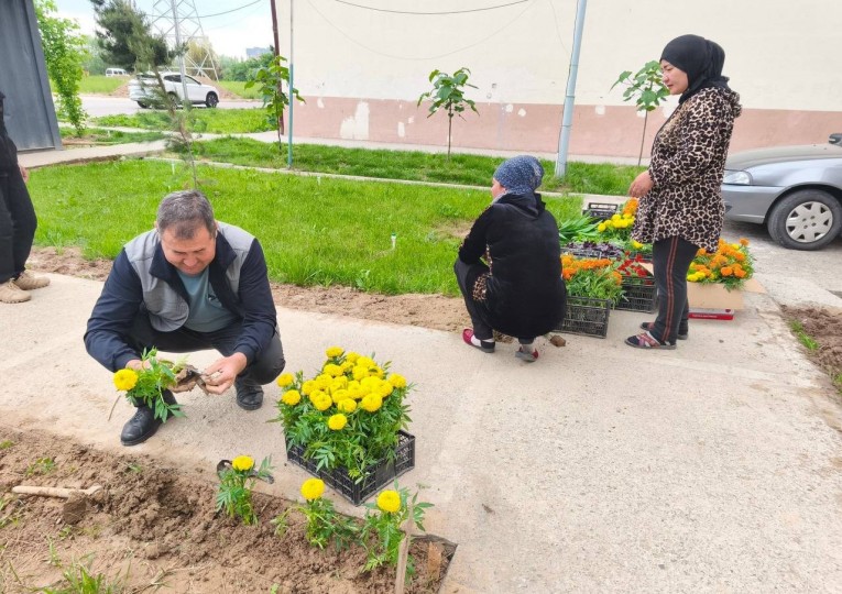 Туманимизнинг ҳар бир ҳудудида турли хил гул кўчатлари экилиб, атроф-муҳит янада гўзаллаштирилмоқда.